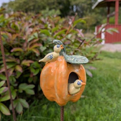 Pxl 20250905 133314792