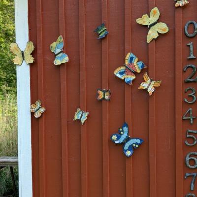 Pxl 20250913 130052709