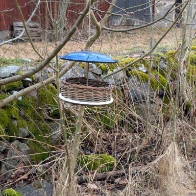 Pxl 20250228 131652963